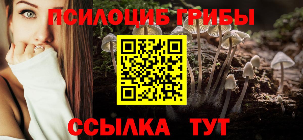 Советск  дарнет шоп  Вход с VPN  Галлюциногенные грибы мухоморы 