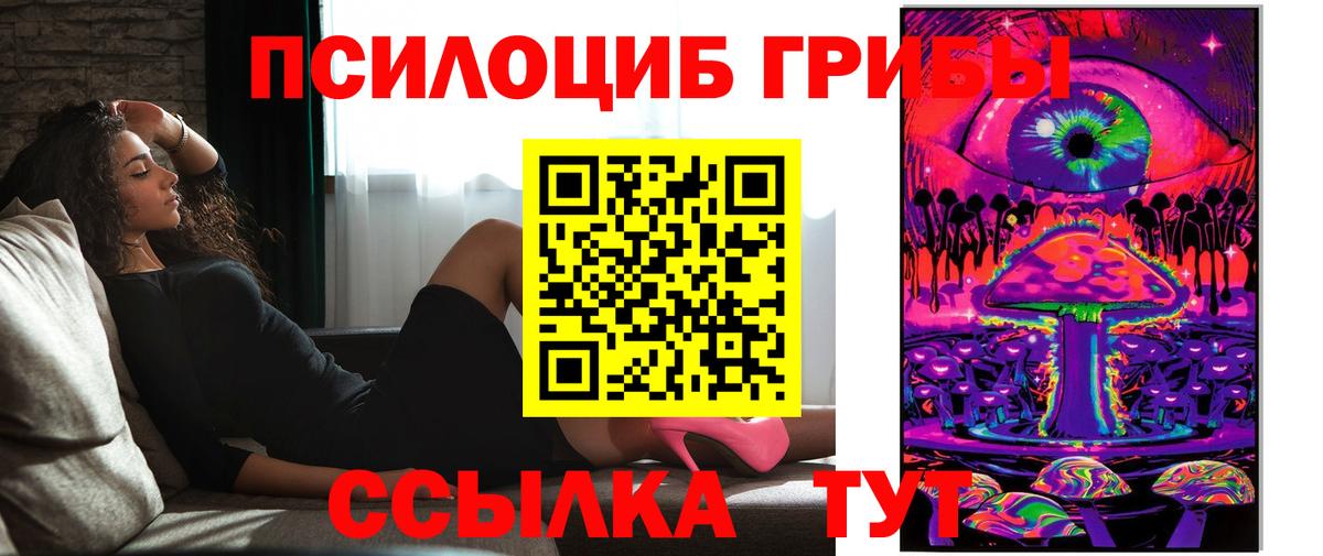 Псилоцибиновые грибы Cubensis Советск